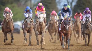 Tapit Trice Verifying Blue Grass Stakes Kentucky Derby Contenders